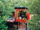 Modernes Baumhaus mit Terrasse zwischen dichtem grünen Wald