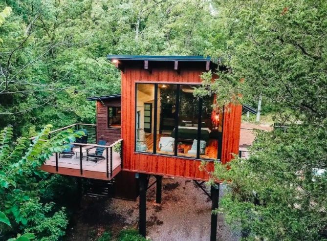 Modernes Baumhaus mit Terrasse zwischen dichtem grünen Wald